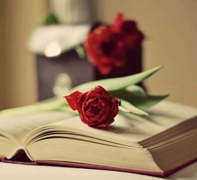 ǰ�����׵ķ���ԭ������Щ